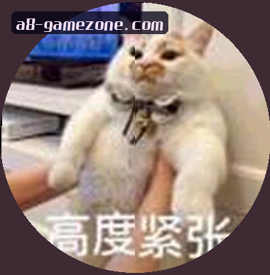 赵雷